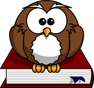 owl on book 